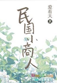民国小商人最新章节番外