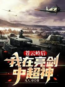 苍云岭之战