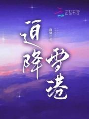 迫降雪港在线