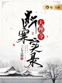 大理寺断案实录电视剧