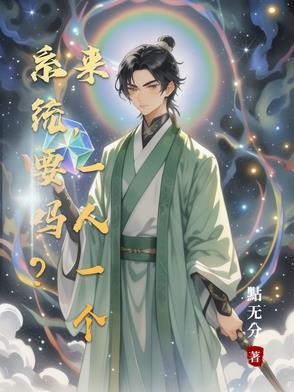 一个系统大概多少钱