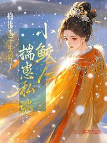 小鲛人风鹤txt