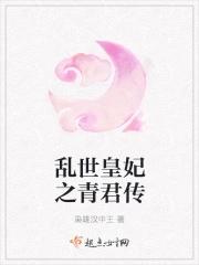乱世皇妃之青君传